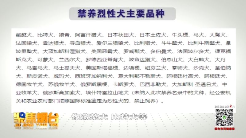 孙月平:目前,我市禁养的品种暂定为53种烈性犬和列入禁养名录的大型犬